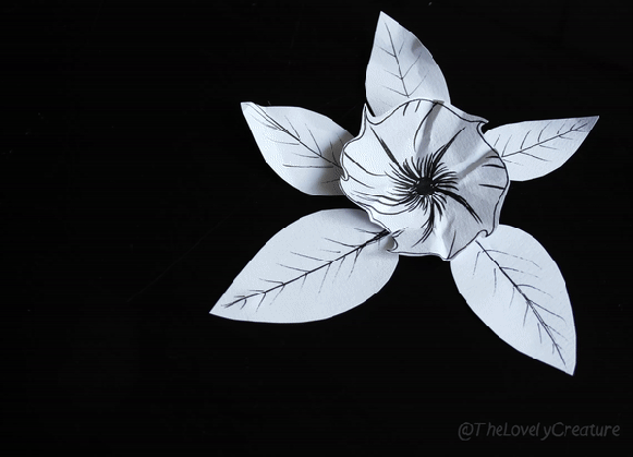 stop-motion animation of moth on a flower