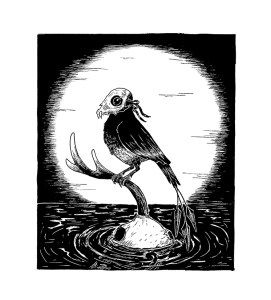 bird-skull-surreal-illustration-sketch-thelovelycreature-creature-eerie