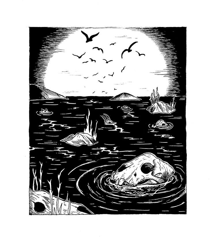 bird-skulls-in-water-cave-illustration-surreal-art-lovely-creature-creepy