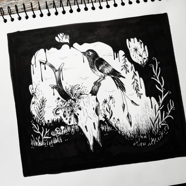 bird illustration surreal the lovely creature thelovelycreature